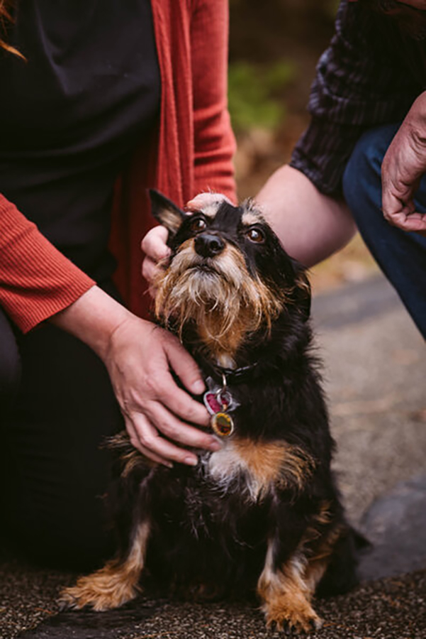 8 Pro Tips for a Successful Pet Photo Session